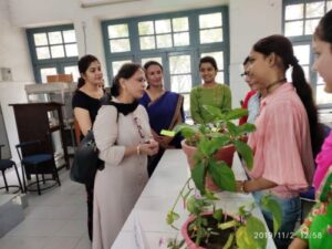 Plant Variety Show 2nd November 2019 November 2, 2019