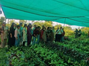 Acadmic Exposure to Nursery based Entreprenurship April 2, 2026